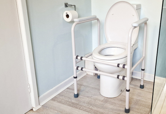 Atlantis Toilet Frame: refreshed design